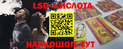 гашик Будённовск