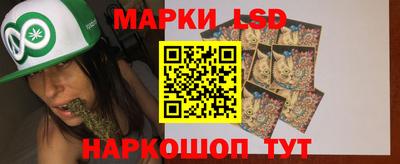 гашик Будённовск