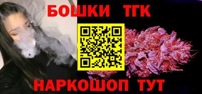 гашик Будённовск
