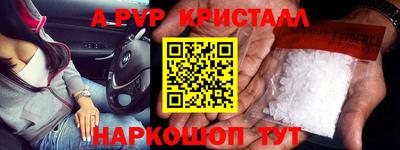 гашик Будённовск