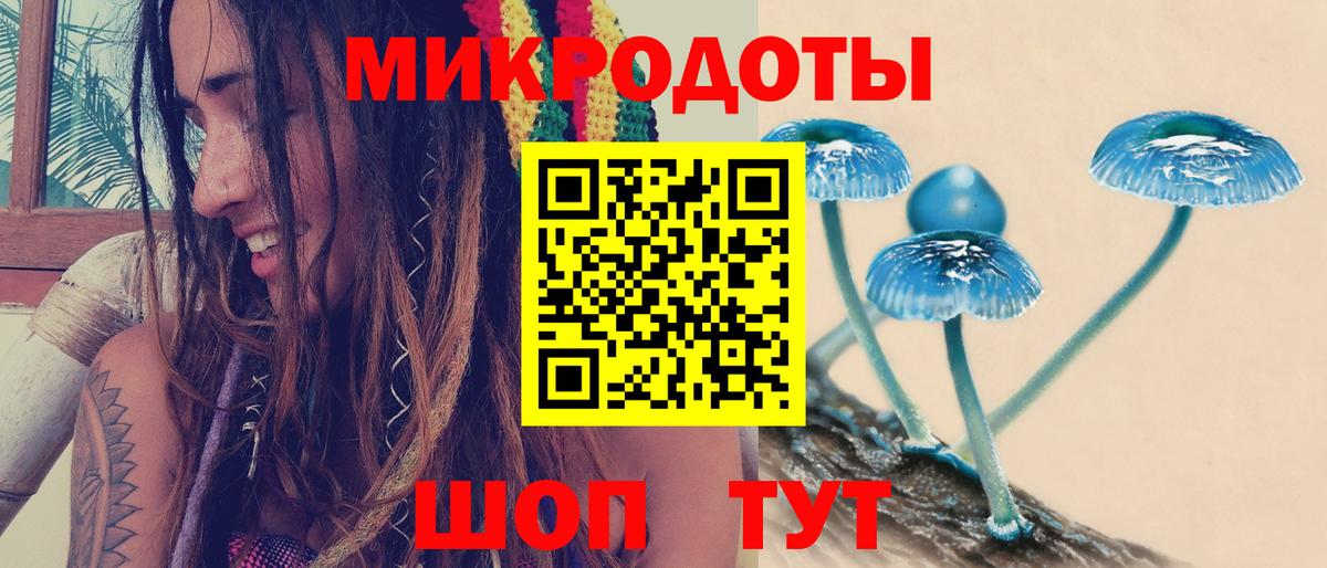 Галлюциногенные грибы прущие грибы Волоколамск