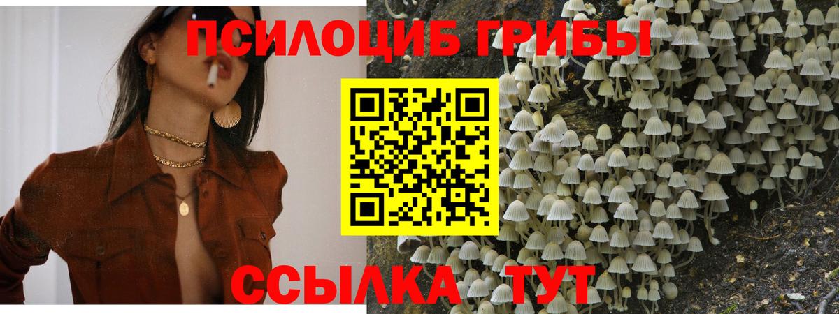 Галлюциногенные грибы MAGIC MUSHROOMS  Вход с VPN  Волоколамск  Псилоцибиновые грибы Magic Shrooms 